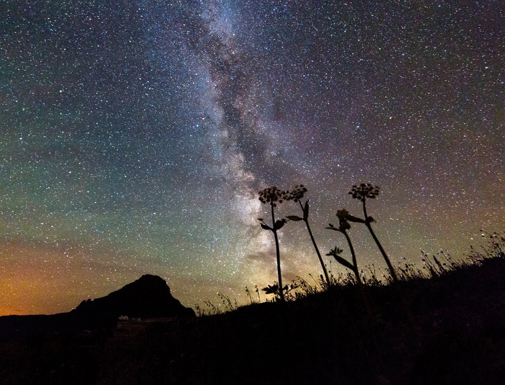 [기획-무역 FOCUS]카자흐스탄, 몽골에 첫 위성 수출…우주·디지털 협력 본격화