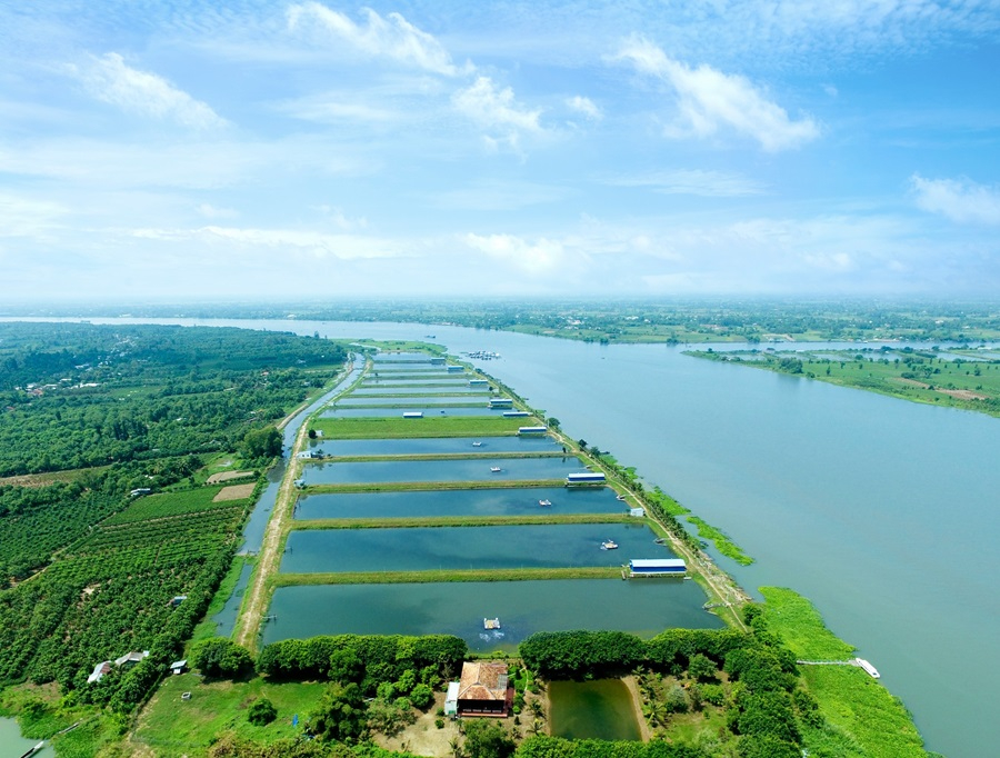 [기획-글로벌푸드체인] 베트남, 세계 3대 수산물 강국으로 우뚝