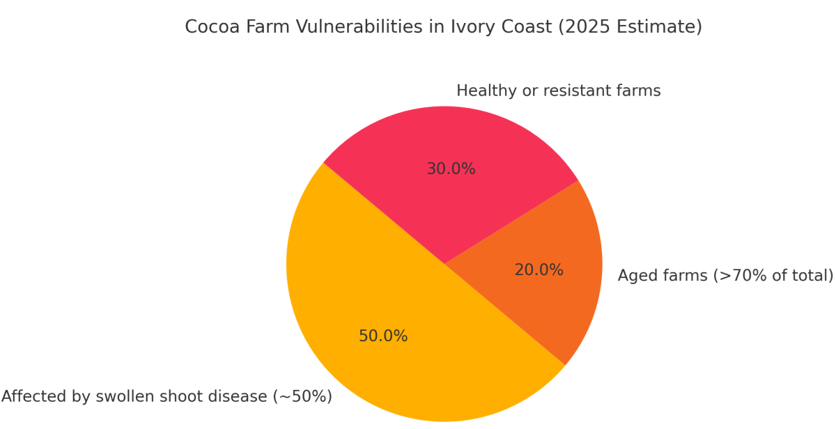 [기획-글로벌푸드체인] 코트디부아르, 코코아 수출 130만 톤으로 감축… “기후·병해에 구조적 타격”