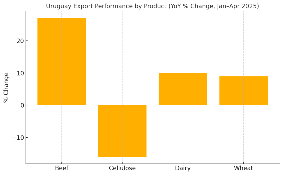 [기획-메르코스코프] 수출 늘었지만 웃지 못하는 우루과이…구조적 한계 드러나