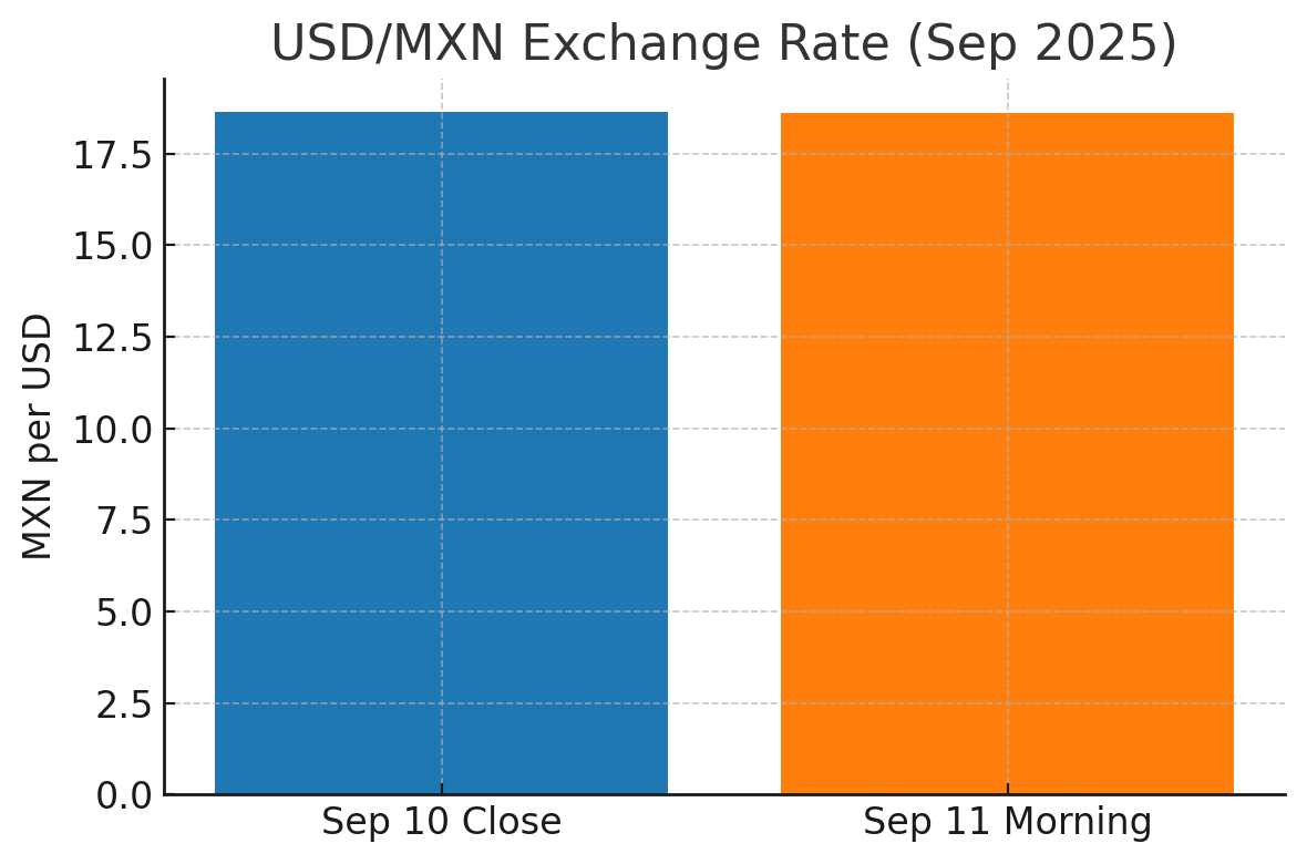 [기획-메르코스코프] 멕시코, 대미 수출 호조에 금융시장 동반 상승