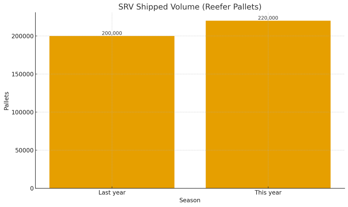 [기획-아프리카 블록] 남아공 수출 물류 ‘회복 신호’…정부·민간 협력 성과 가시화