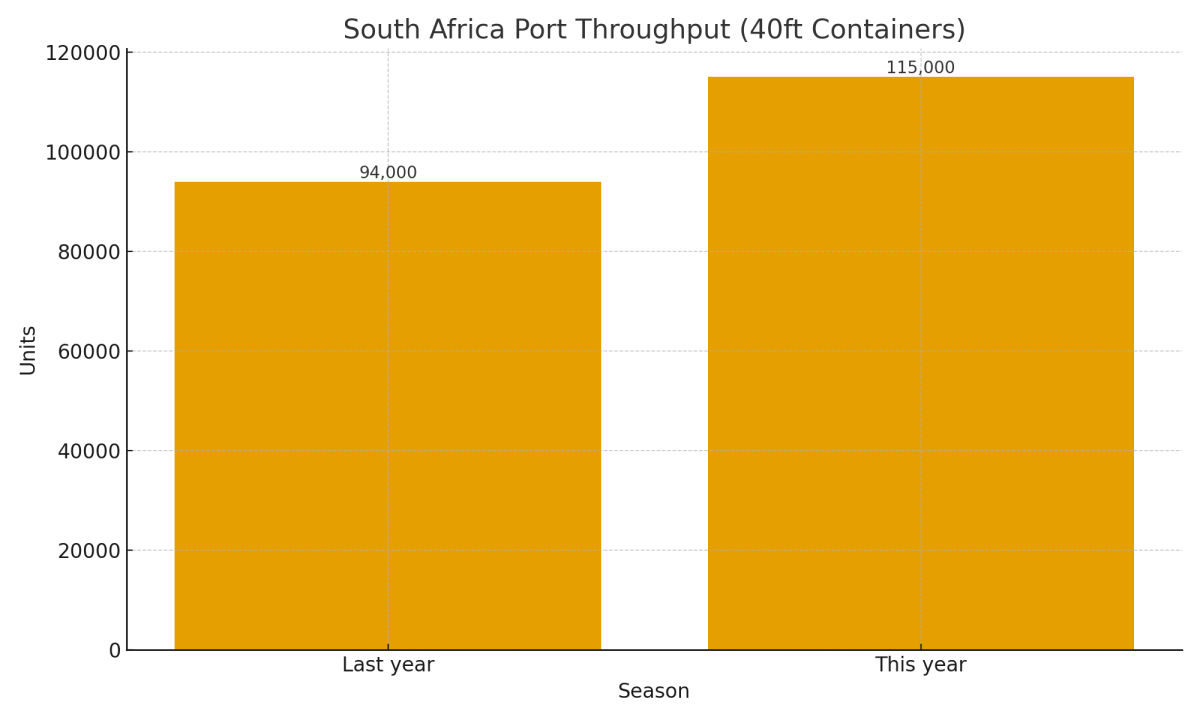 [기획-아프리카 블록] 남아공 수출 물류 ‘회복 신호’…정부·민간 협력 성과 가시화