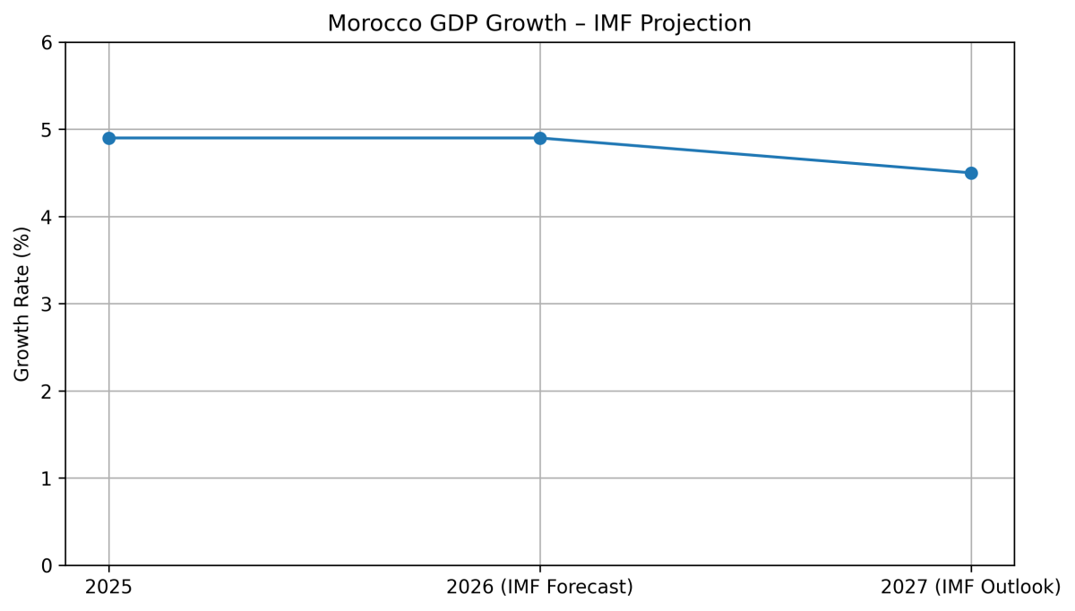 [기획-글로벌뷰포인트] IMF “모로코, 2026년에도 4.9% 성장 전망”…공공투자·농업 호조가 견인