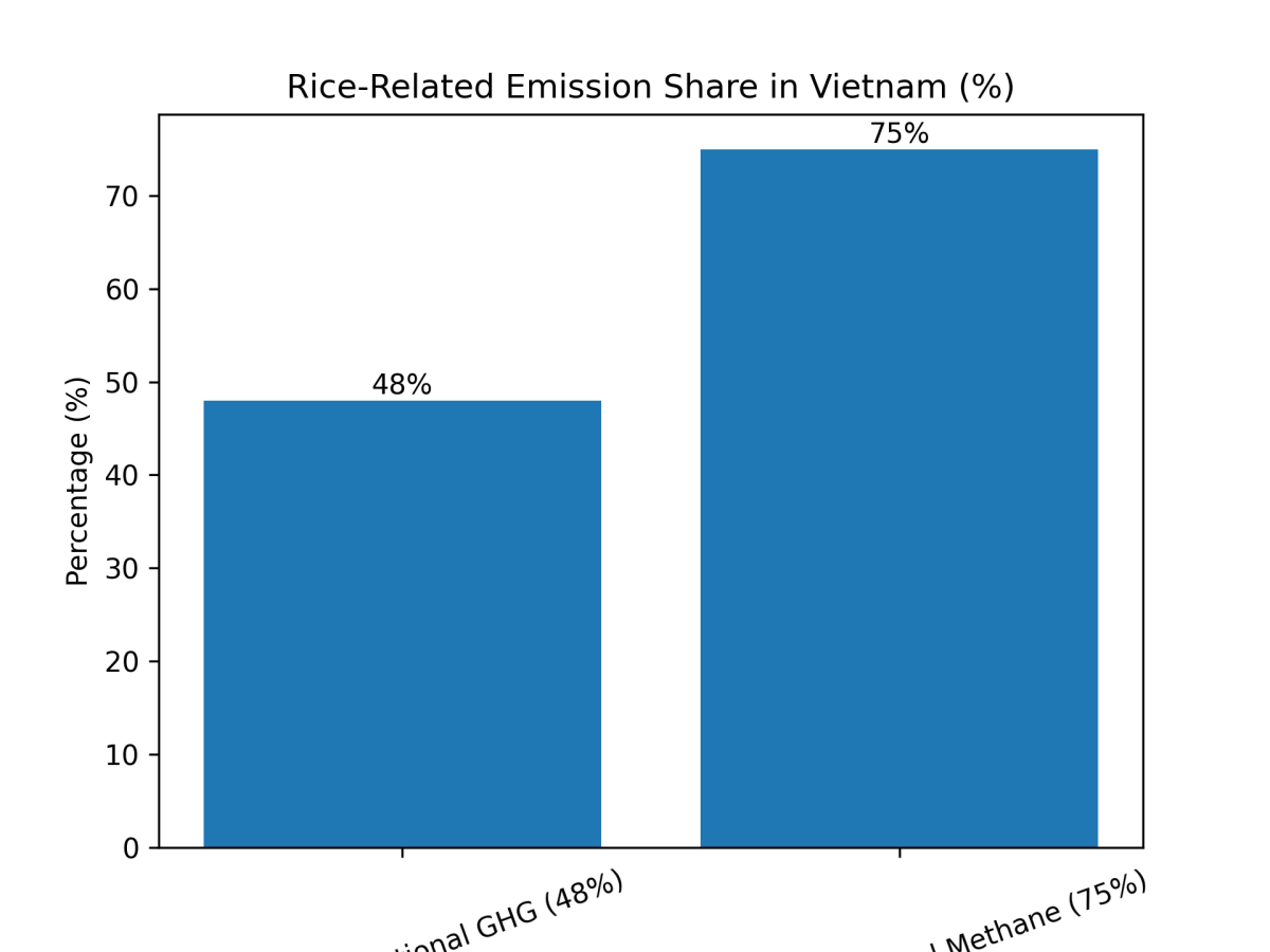 [심층-식량 공급] 베트남, 녹색농업 시범적용 성공적…저탄소 재배 쌀 수출량 늘리나