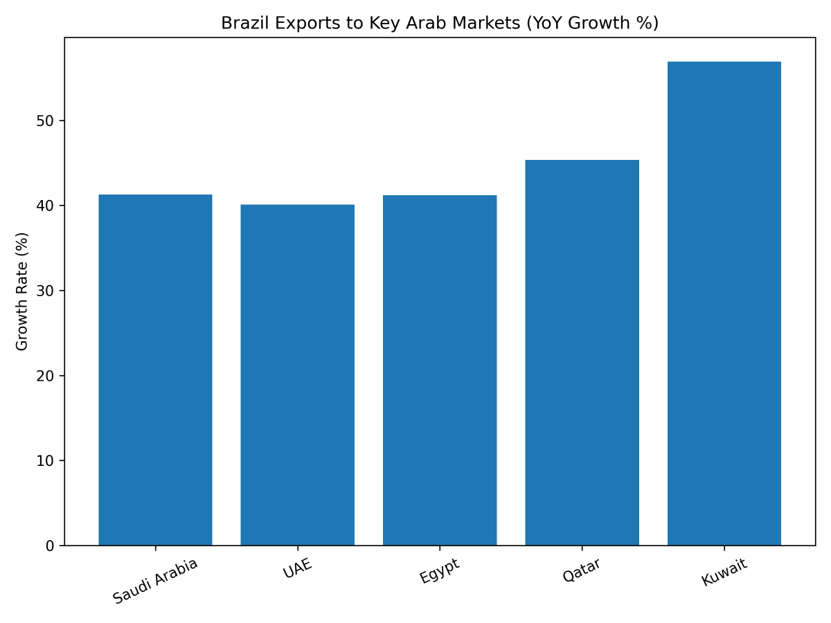 [심층-교역 구조 재편] 브라질, 대아랍 수출액 177억 달러 돌파...글로벌 공급망 다변화 '동참'