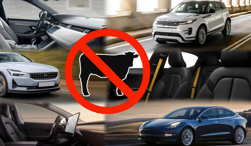 친환경 '비건 자동차', 차량 제조 새 기준 될까