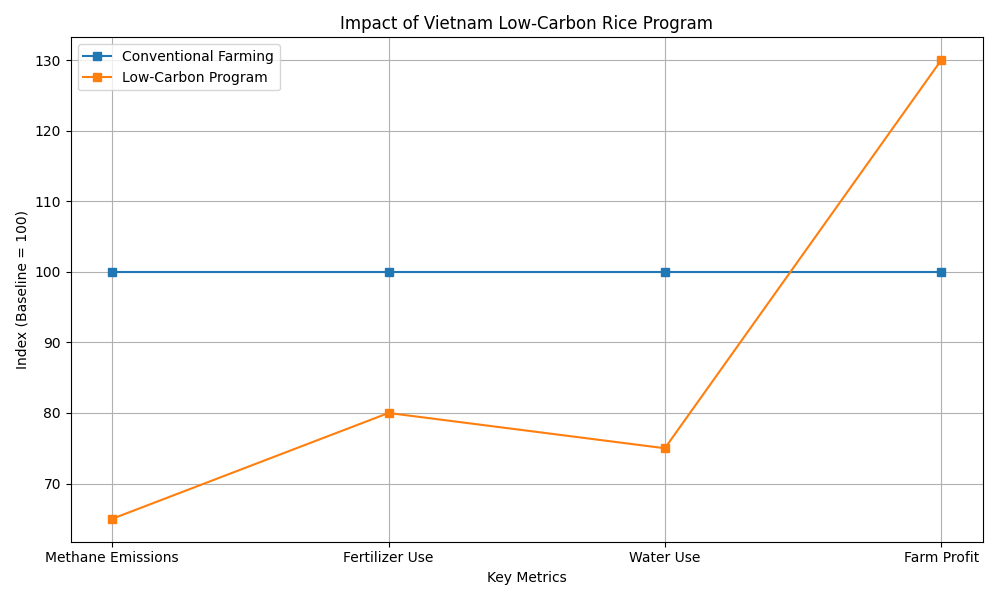 [기획-글로벌푸드체인] 베트남, ‘저탄소 고부가가치’ 쌀 산업 전환…아세안·아프리카 시장 확대