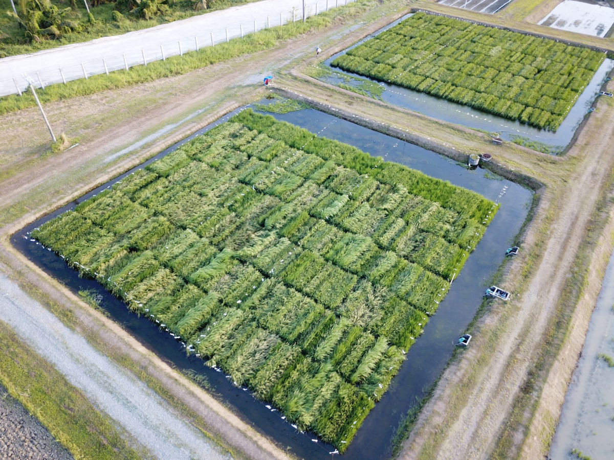 [심층-글로벌푸드체인] 중동 전쟁 여파…팜유·대두유·밀 가격 동반 급등