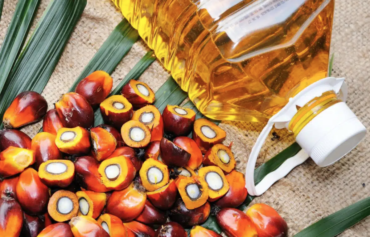 [심층-글로벌푸드체인] 팜오일 분쟁 재점화…인도네시아, EU에 WTO 보복 조치 추진