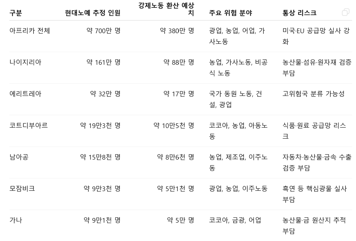 남아공, 미국발 강제노동 관세 압박에 대응 논리 마련 분주